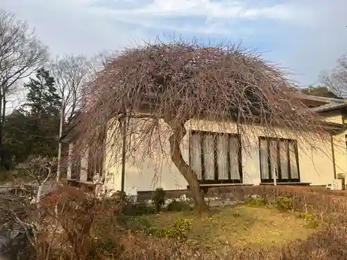 朝日森天満宮(栃木県)