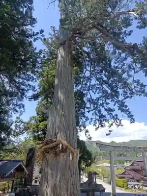 飛驒一宮水無神社(岐阜県)