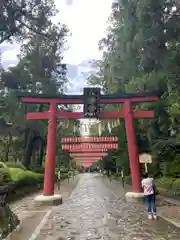 大崎八幡宮の鳥居