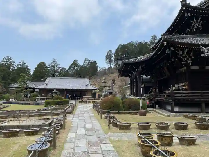 三室戸寺(京都府)