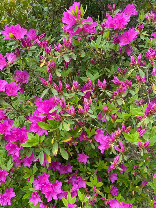 成田熊野神社(千葉県)