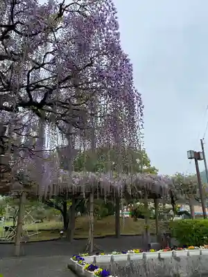 大山祇神社(愛媛県)