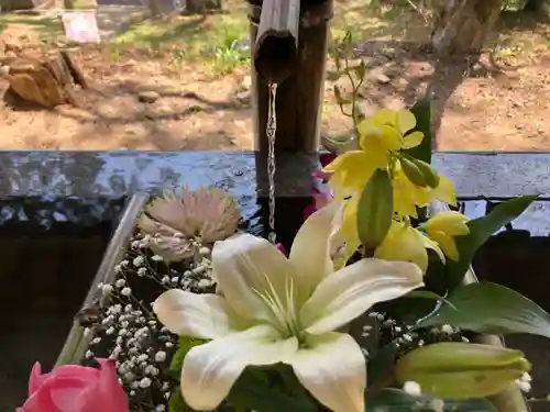 坂本八幡神社の手水舎