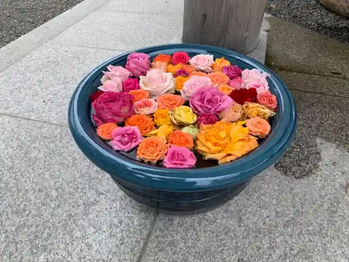 桑名宗社(春日神社)の手水舎