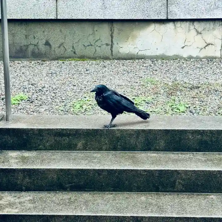 奥田神社(富山県)