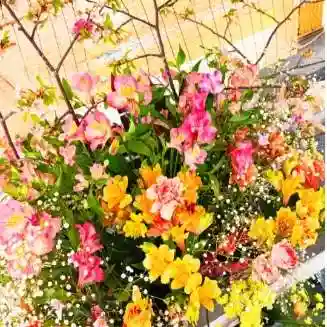 彌彦神社　(伊夜日子神社)の手水舎