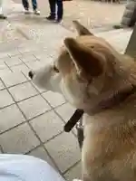 笠䅣稲荷神社(神奈川県)