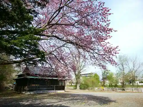 千歳神社の自然