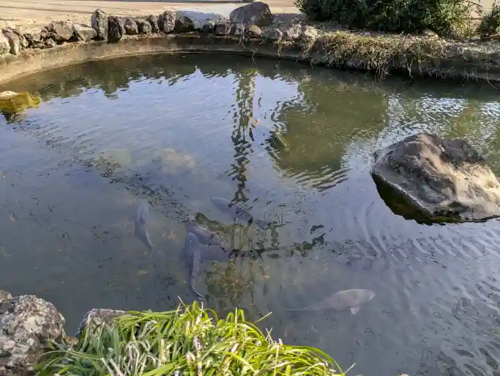 今泉神社の{uncategorized: "未分類", other: "その他", undefined: "問題あり", building: "その他建物", grave: "お墓", sacred_gate: "鳥居", guardian: "狛犬", statue: "像", buddha: "仏像", history: "歴史", nature: "自然", garden: "庭園", animal: "動物", pagoda: "塔", temizu: "手水舎", mountain_gate: "山門・神門", sanctuary: "本殿・本堂", subordinate: "末社・摂社", art: "芸術", scenery: "景色", jizo: "地蔵", ema: "絵馬", goshuin: "御朱印", omikuji: "おみくじ", items: "授与品その他", amulet: "お守り", goshuincho: "御朱印帳", eats: "食事", festival: "お祭り", votive_dance: "神楽", shichigosan: "七五三参", wedding: "結婚式", experience: "体験その他", initially: "初詣", around: "周辺", anti_infection: "感染症対策"}