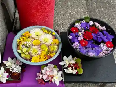 徳島眉山天神社(徳島県)