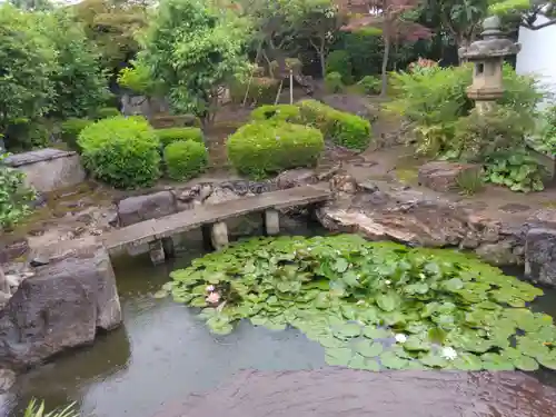 選仏寺(京都府)
