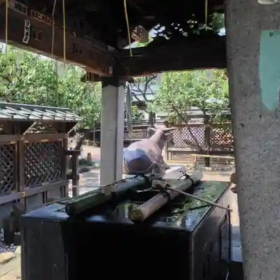 湯島天満宮の手水舎