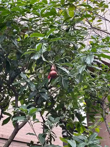 秋葉神社(東京都)