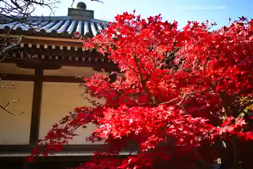 東漸寺(千葉県)