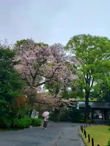 阿佐ヶ谷神明宮(東京都)