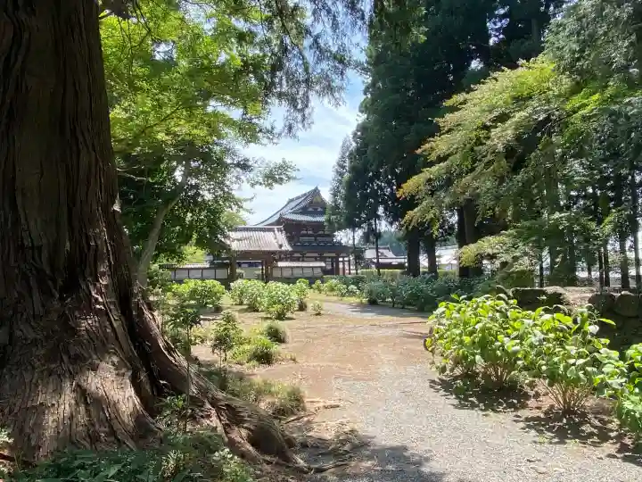 富士山法華本門寺根源(静岡県)