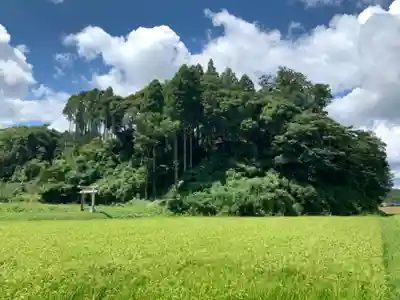 大宮神社(千葉県)