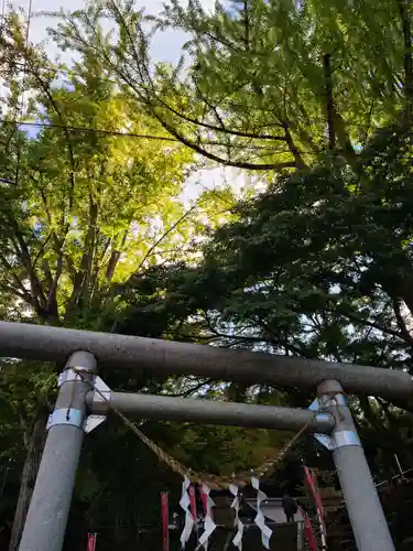 温泉神社〜いわき湯本温泉〜の鳥居
