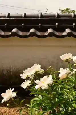 箸蔵寺(徳島県)