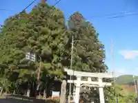 羽黒神社(山形県)