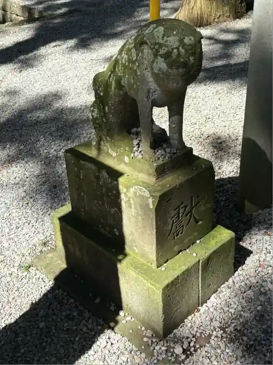 間々田八幡宮の狛犬