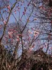 賀羅加波神社の自然