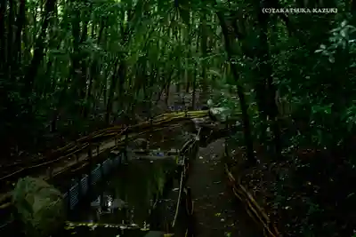 出雲大社相模分祠の周辺