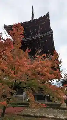 真正極楽寺(真如堂)(京都府)