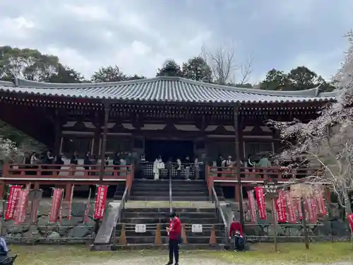 醍醐寺(京都府)