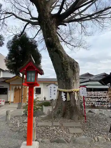 正ノ木稲荷 稲積神社の自然