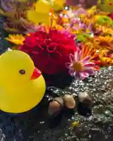 大鏑神社(福島県)