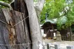 阿邪訶根神社の建物その他