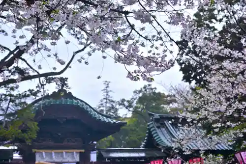 三嶋大社(静岡県)