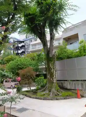 大安寺(東京都)