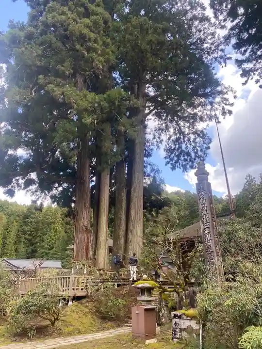 金剛三昧院(和歌山県)