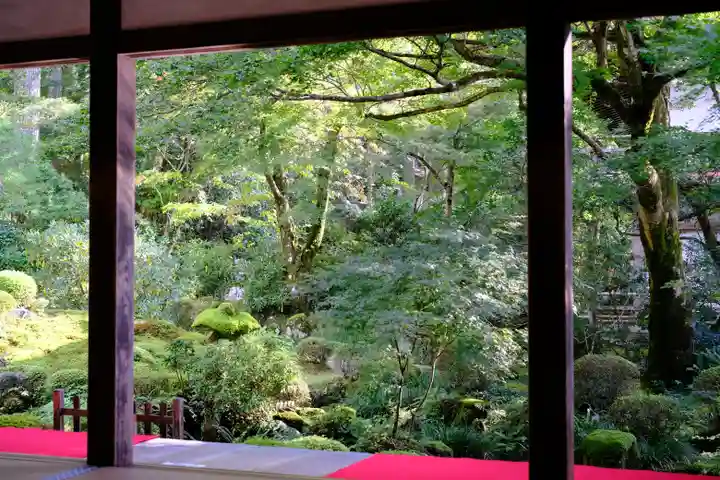 三千院門跡の庭園