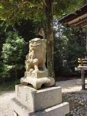 柏木神社の狛犬