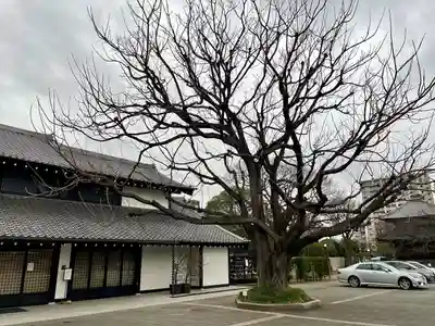 吉祥寺(東京都)