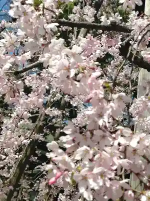 大國魂神社の{uncategorized: "未分類", other: "その他", undefined: "問題あり", building: "その他建物", grave: "お墓", sacred_gate: "鳥居", guardian: "狛犬", statue: "像", buddha: "仏像", history: "歴史", nature: "自然", garden: "庭園", animal: "動物", pagoda: "塔", temizu: "手水舎", mountain_gate: "山門・神門", sanctuary: "本殿・本堂", subordinate: "末社・摂社", art: "芸術", scenery: "景色", jizo: "地蔵", ema: "絵馬", goshuin: "御朱印", omikuji: "おみくじ", items: "授与品その他", amulet: "お守り", goshuincho: "御朱印帳", eats: "食事", festival: "お祭り", votive_dance: "神楽", shichigosan: "七五三参", wedding: "結婚式", experience: "体験その他", initially: "初詣", around: "周辺", anti_infection: "感染症対策"}