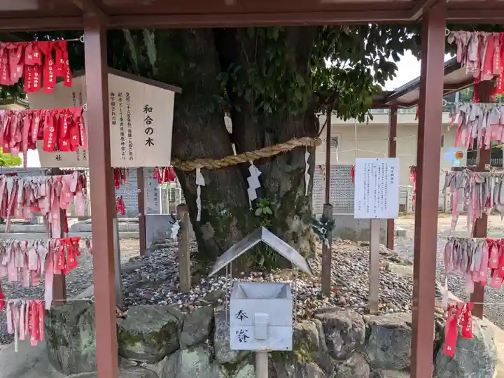 白山神社(二子町)の自然