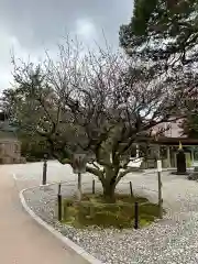 尾山神社(石川県)