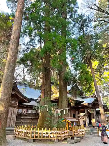高千穂神社(宮崎県)