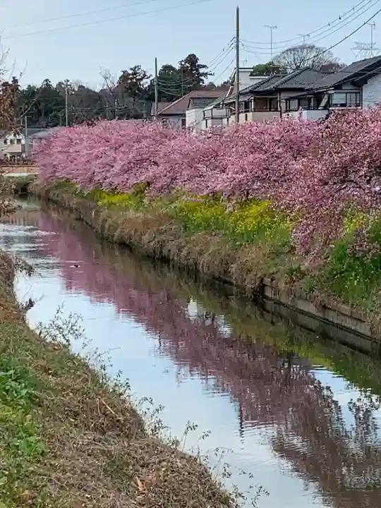 鷲宮神社の自然