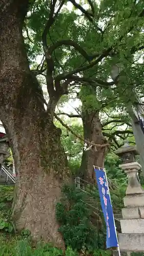 北岡神社の自然