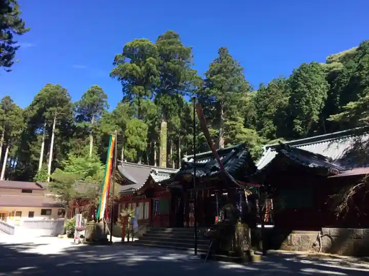 箱根神社の本殿・本堂
