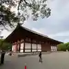 東寺(教王護国寺)(京都府)