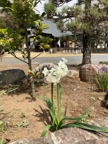 尉殿神社の自然