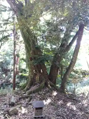 高津八幡宮(京都府)