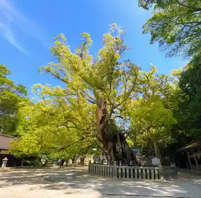 大山祇神社(愛媛県)