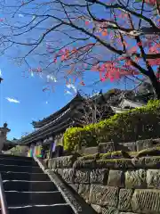 長谷寺(神奈川県)